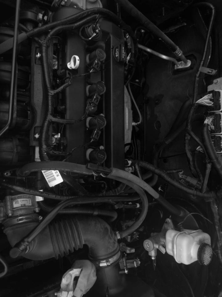 Ford Escape FWD 4dr XLT 2012