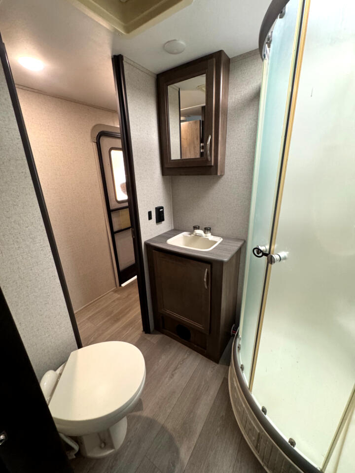 Coleman Lantern  2019