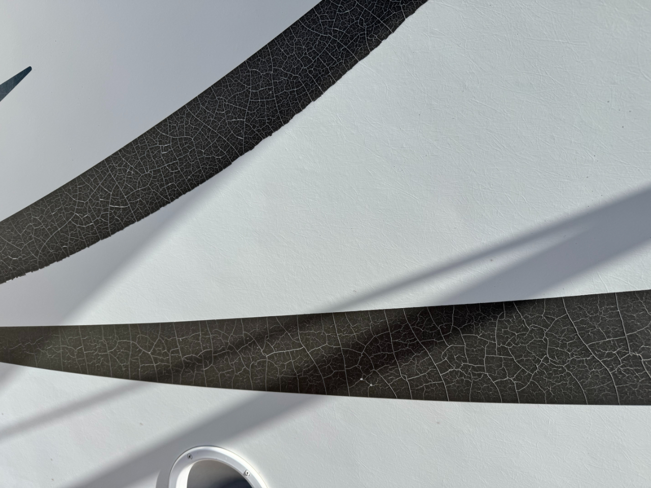 Winnebago Access  2007