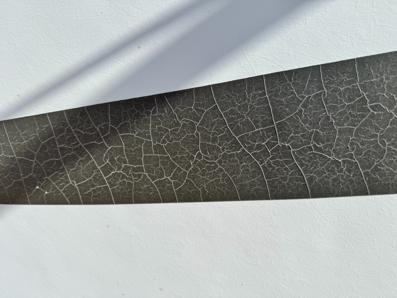 Winnebago Access  2007