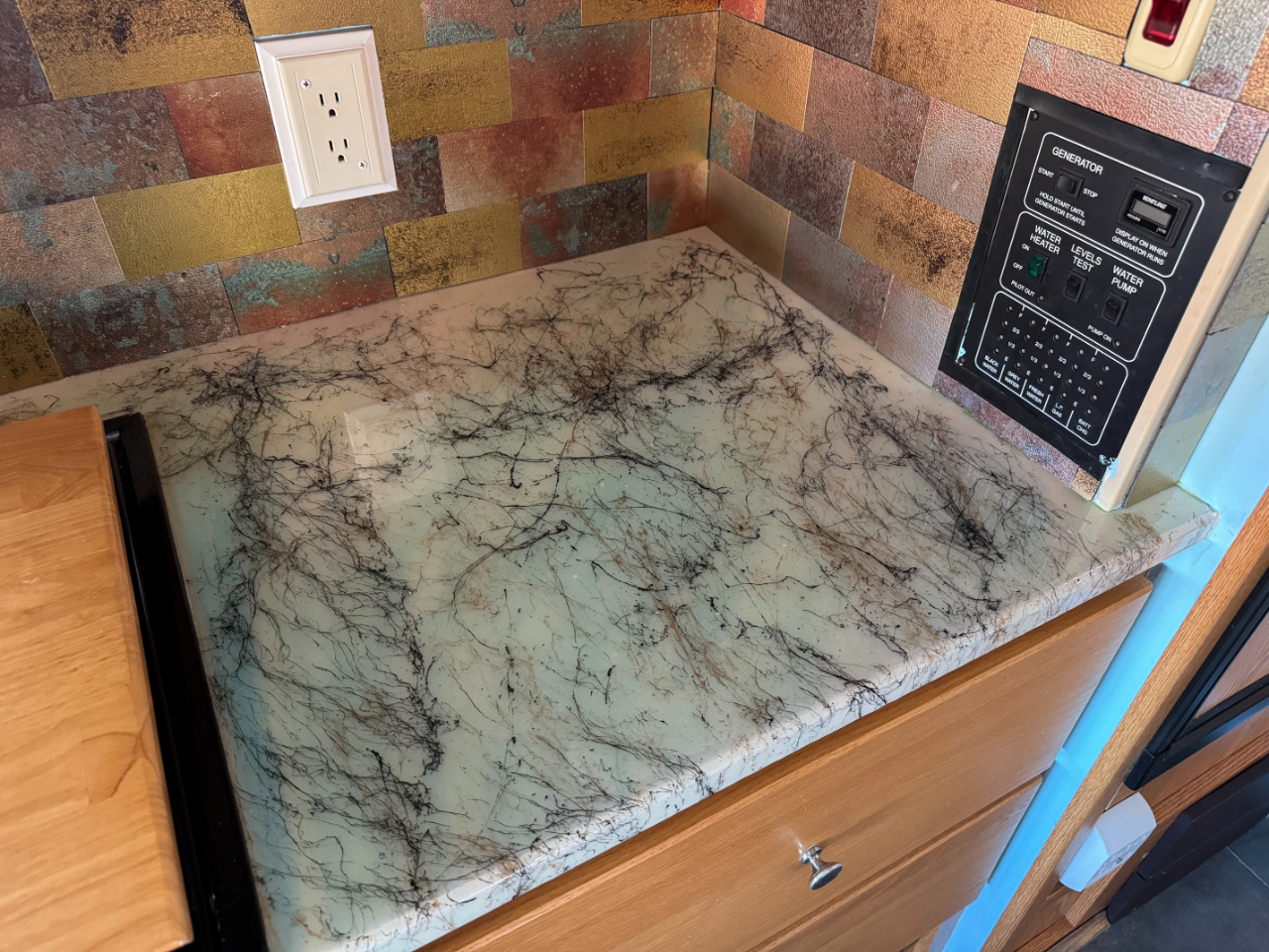 Winnebago Access  2007