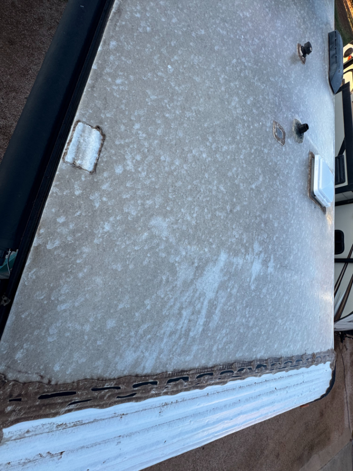 Coleman Lantern  2020