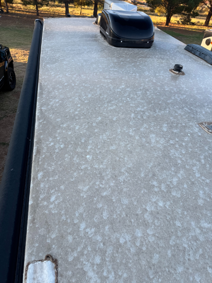 Coleman Lantern  2020