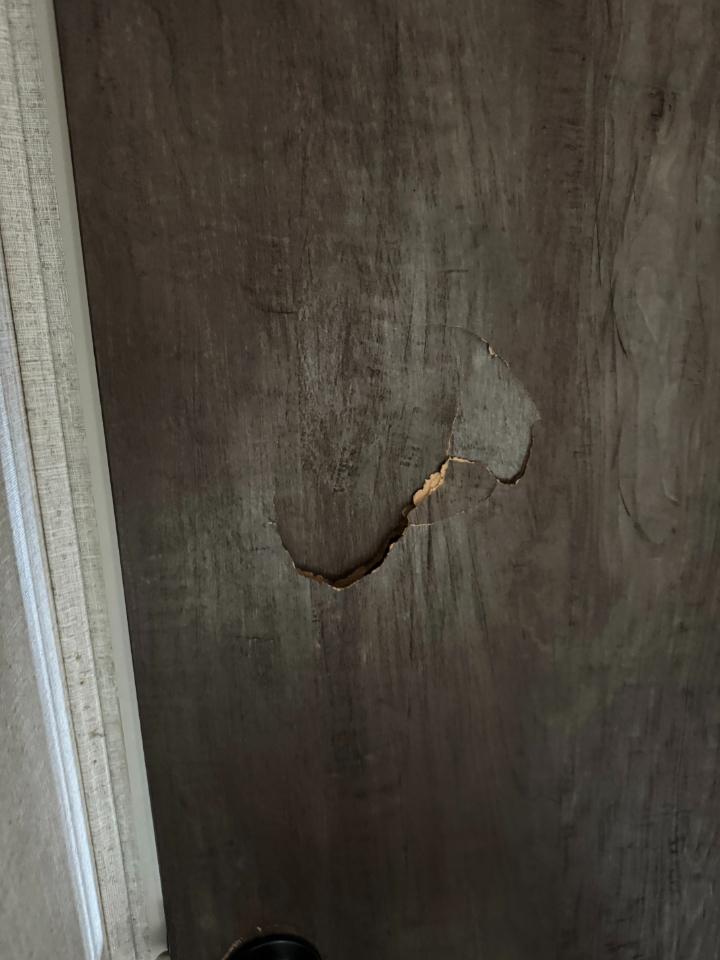 Forest River Salem  2020