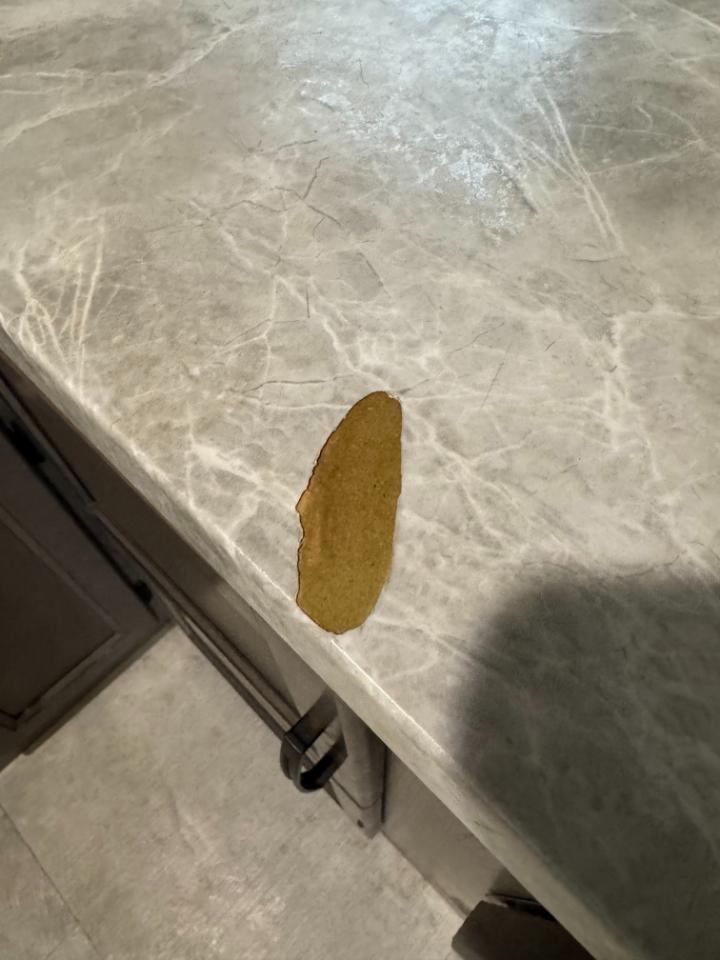 Forest River Coachmen Apex  2020