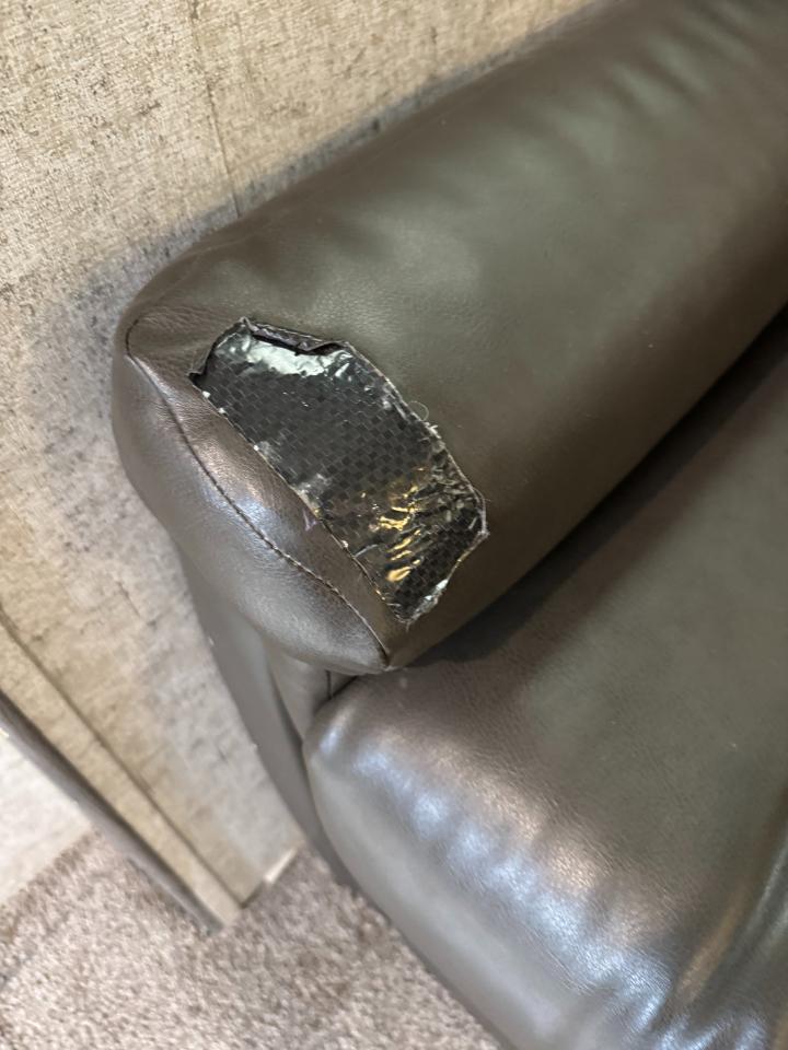 Forest River Coachmen Apex  2020