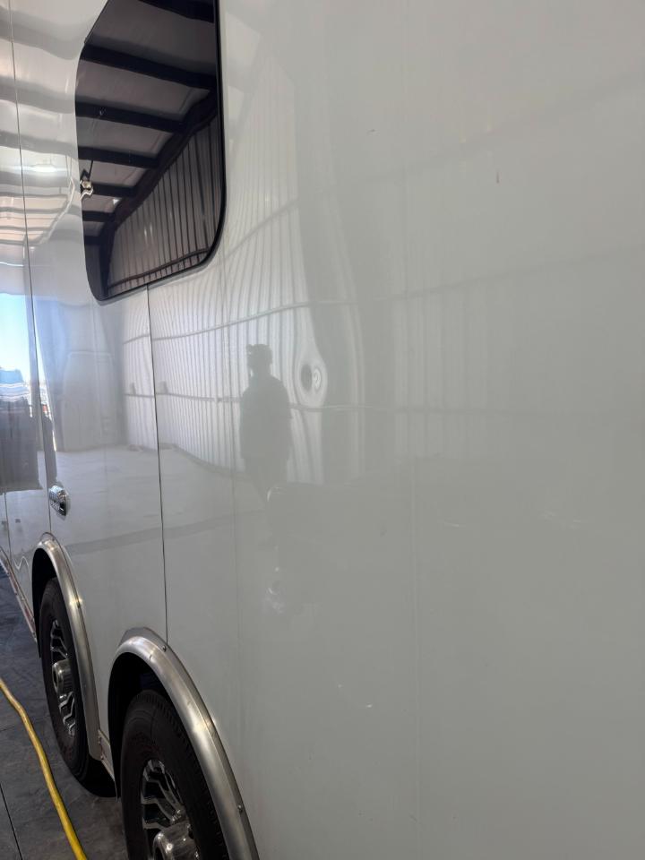 Continental Cargo Elite Cargo  2021