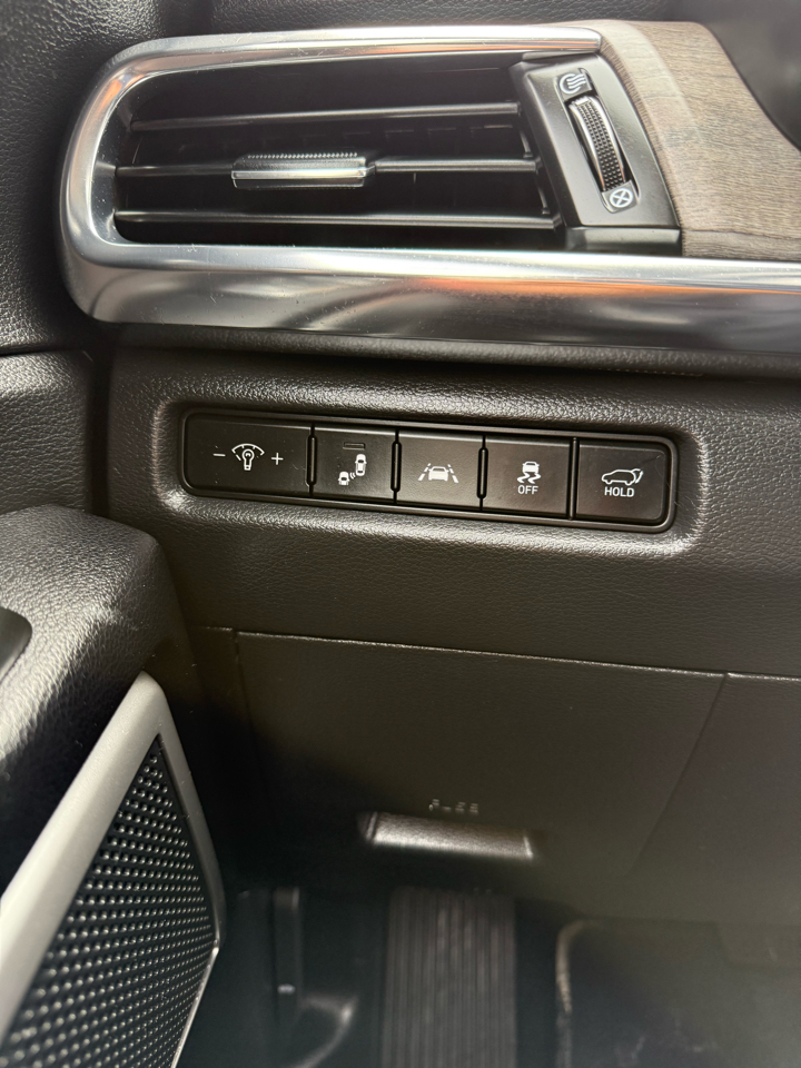 2022 Kia Telluride EX photo 13