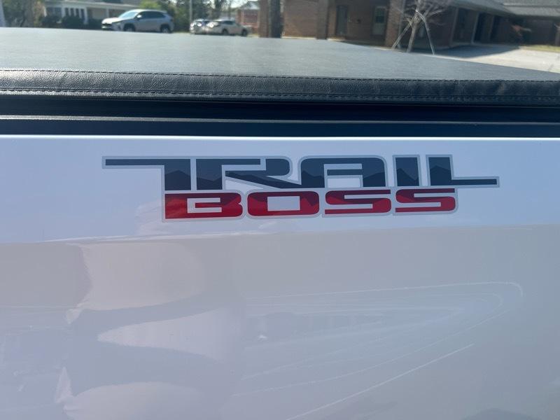 Chevrolet Silverado 1500 4WD Crew Cab 147" LT Trail Boss 2019