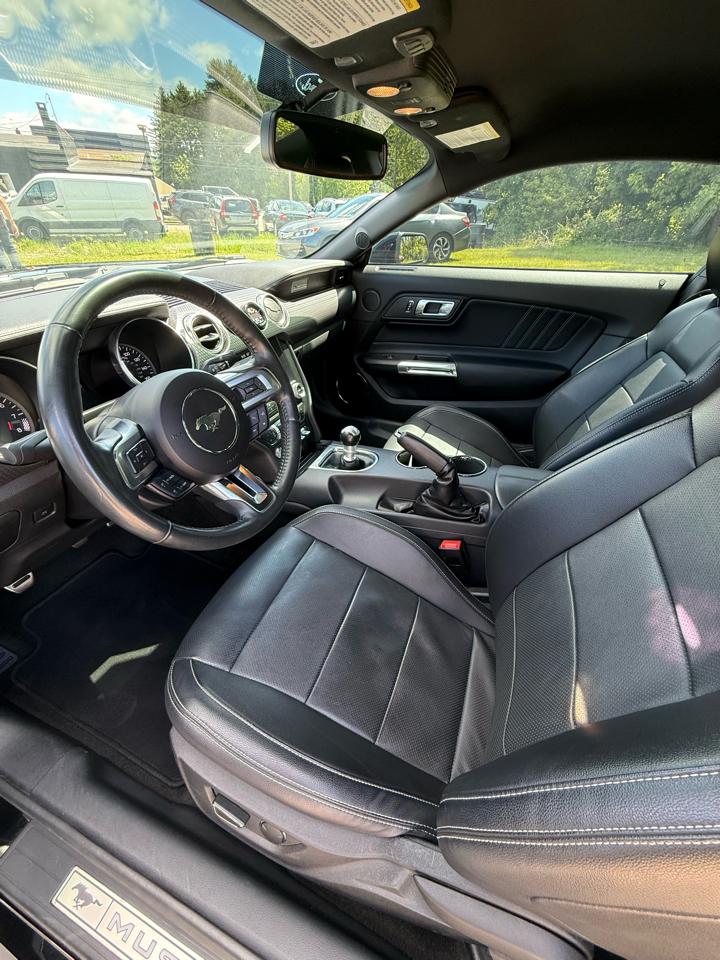 Ford Mustang GT Fastback 2018
