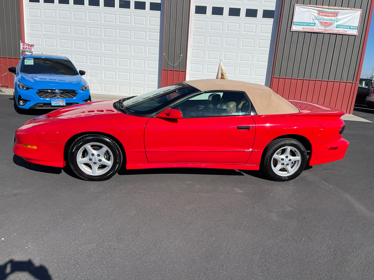 Pontiac Firebird 2dr Convertible Trans Am 1995 Pontiac Firebird 2dr Convertible Trans Am 1995