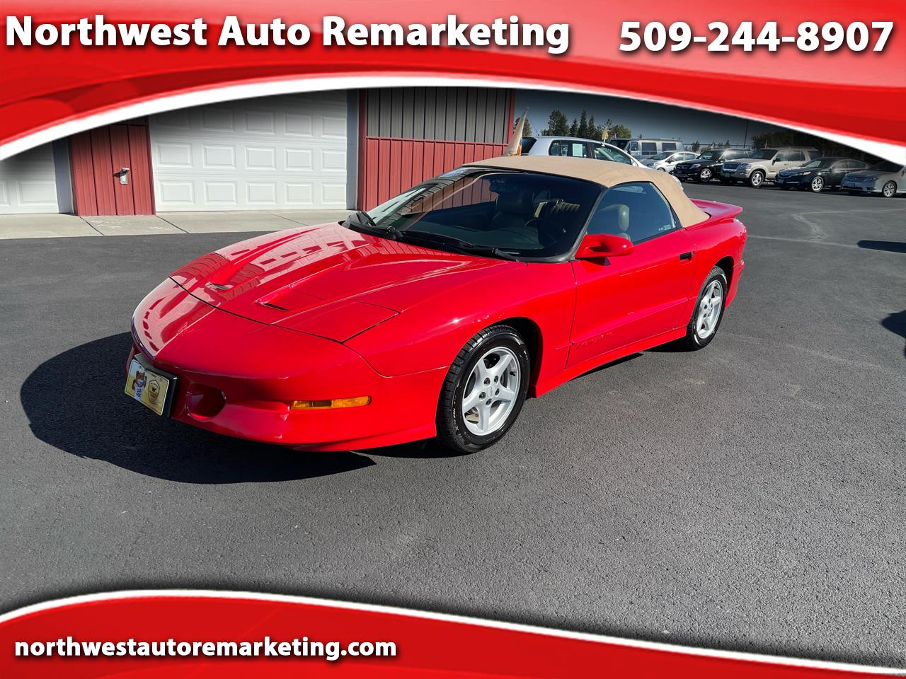 Pontiac Firebird 2dr Convertible Trans Am 1995 Pontiac Firebird 2dr Convertible Trans Am 1995