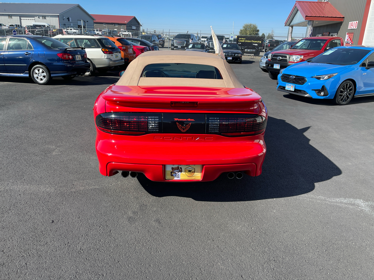 Pontiac Firebird 2dr Convertible Trans Am 1995 Pontiac Firebird 2dr Convertible Trans Am 1995