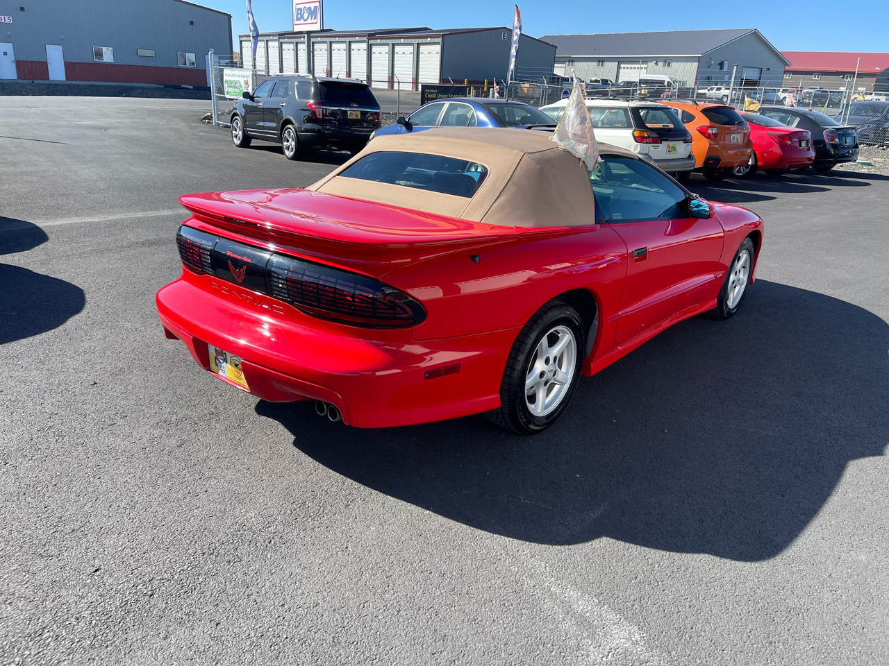 Pontiac Firebird 2dr Convertible Trans Am 1995 Pontiac Firebird 2dr Convertible Trans Am 1995