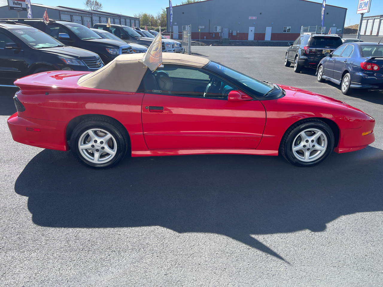 Pontiac Firebird 2dr Convertible Trans Am 1995 Pontiac Firebird 2dr Convertible Trans Am 1995