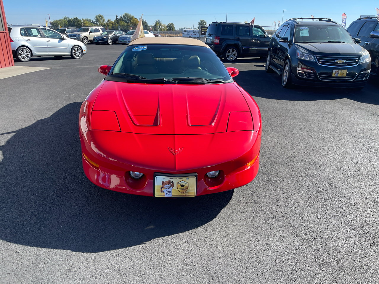 Pontiac Firebird 2dr Convertible Trans Am 1995 Pontiac Firebird 2dr Convertible Trans Am 1995