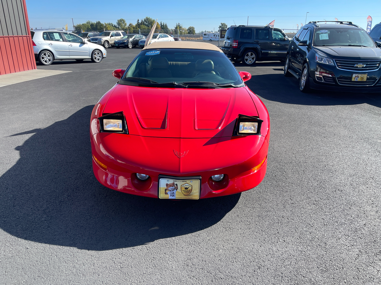 Pontiac Firebird 2dr Convertible Trans Am 1995 Pontiac Firebird 2dr Convertible Trans Am 1995