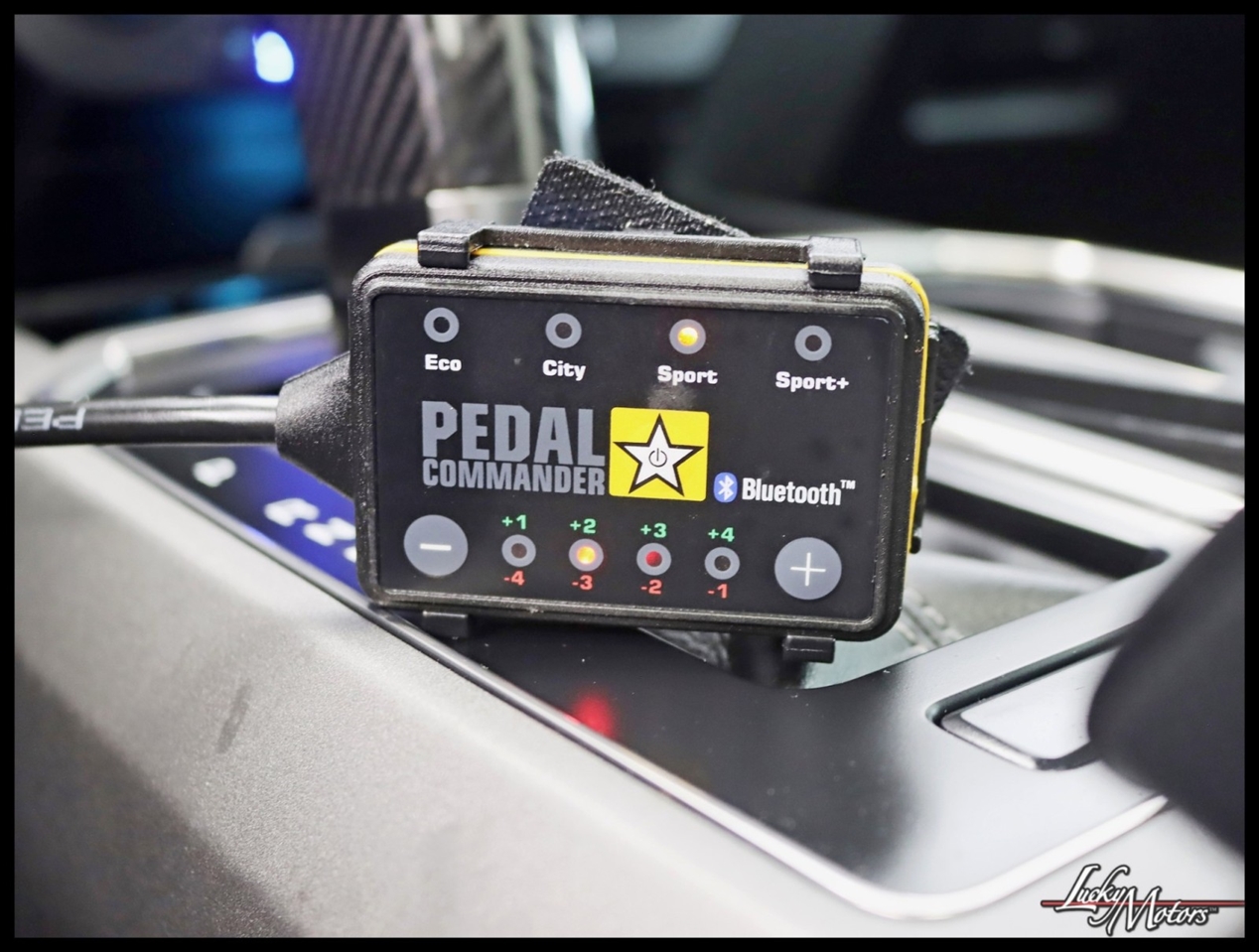 Ford F-150 Raptor SuperCrew 4WD 2019 Ford F-150 Raptor SuperCrew 4WD 2019