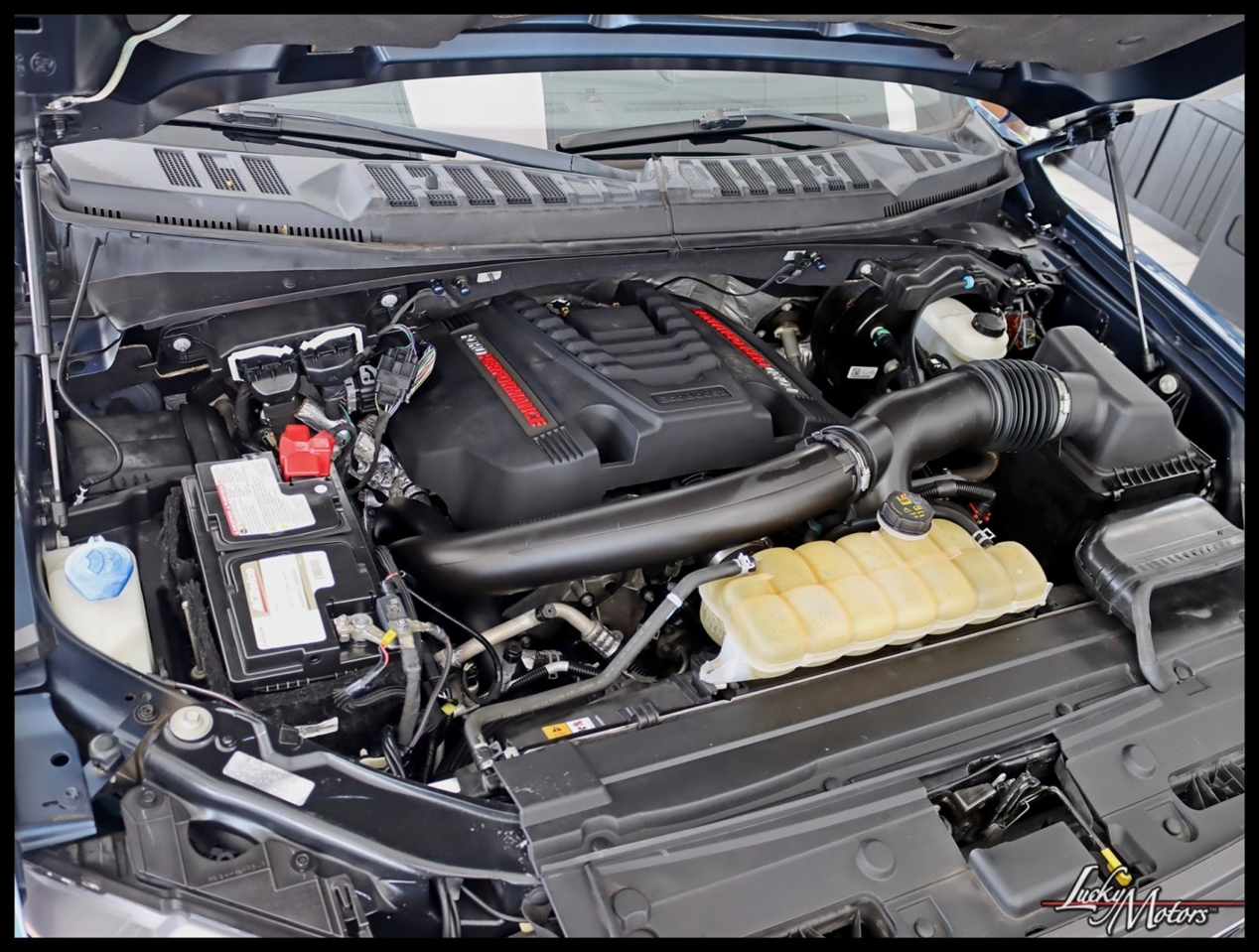 Ford F-150 Raptor SuperCrew 4WD 2019 Ford F-150 Raptor SuperCrew 4WD 2019