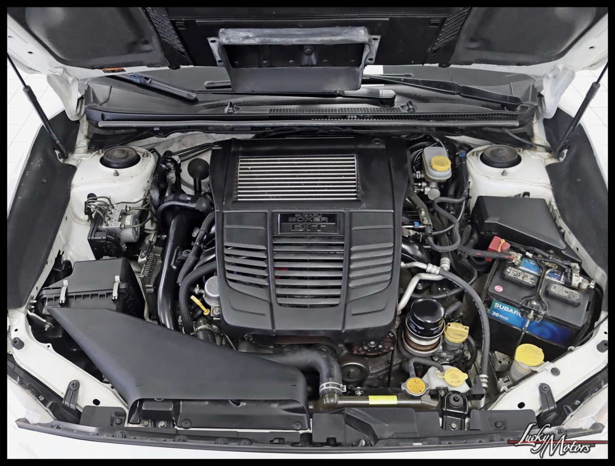 Subaru WRX Premium 6M 2019