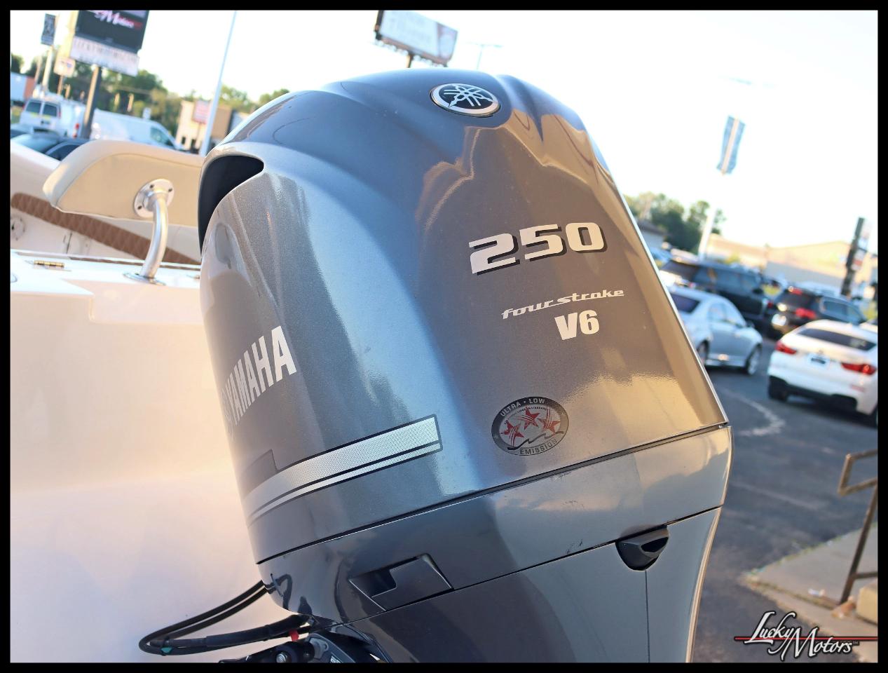 Cobia 230  2019