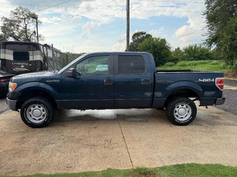 Ford F-150 Platinum SuperCrew 6.5-ft. Bed 4WD 2014