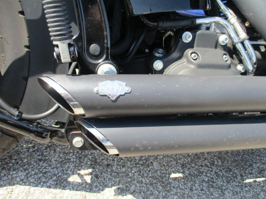 Harley-Davidson FLS  2014