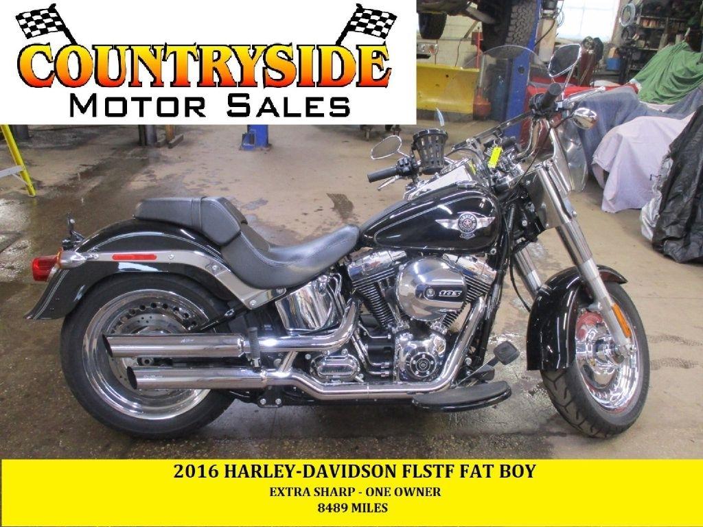 Harley-Davidson FLSTF  2016
