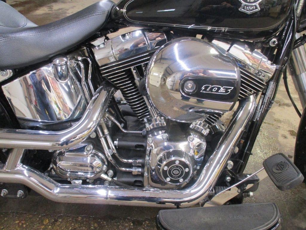 Harley-Davidson FLSTF  2016