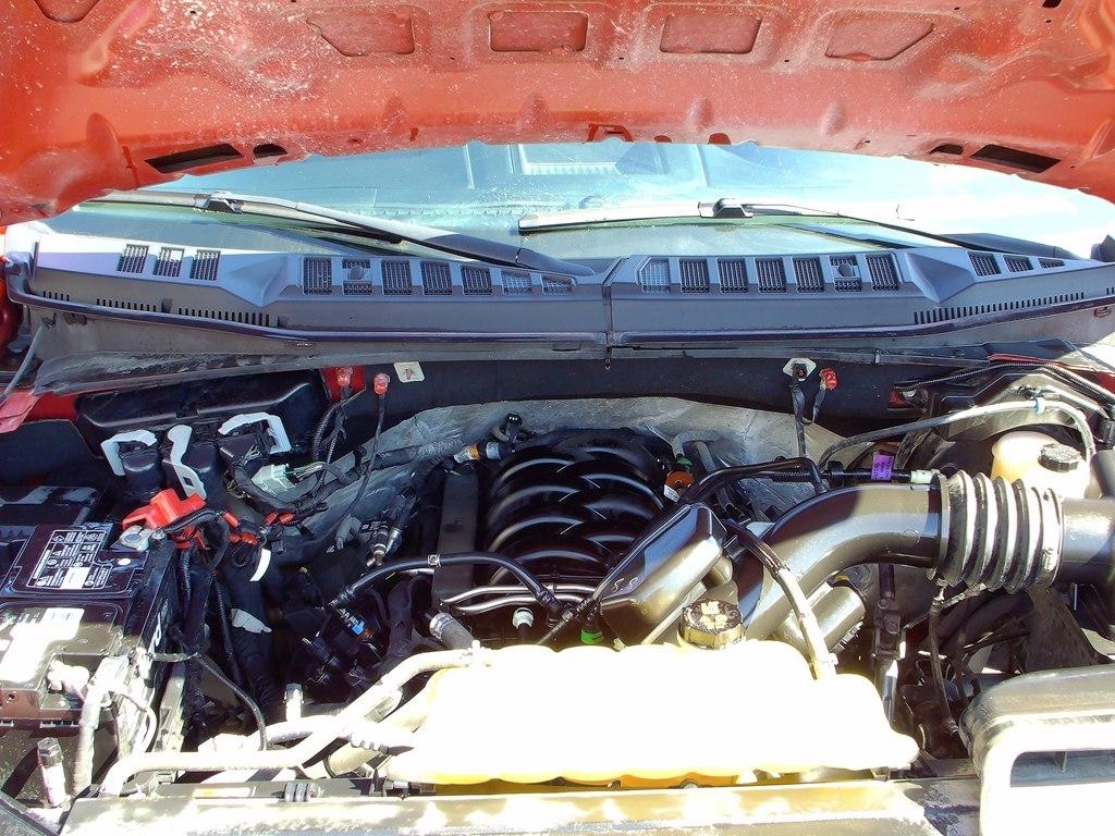 Ford F-150  2019