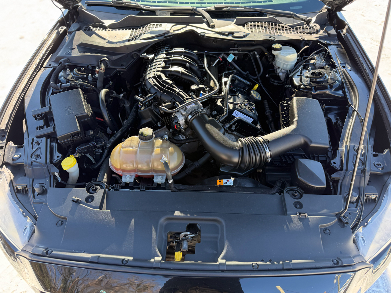 Ford Mustang V6 Coupe 2016