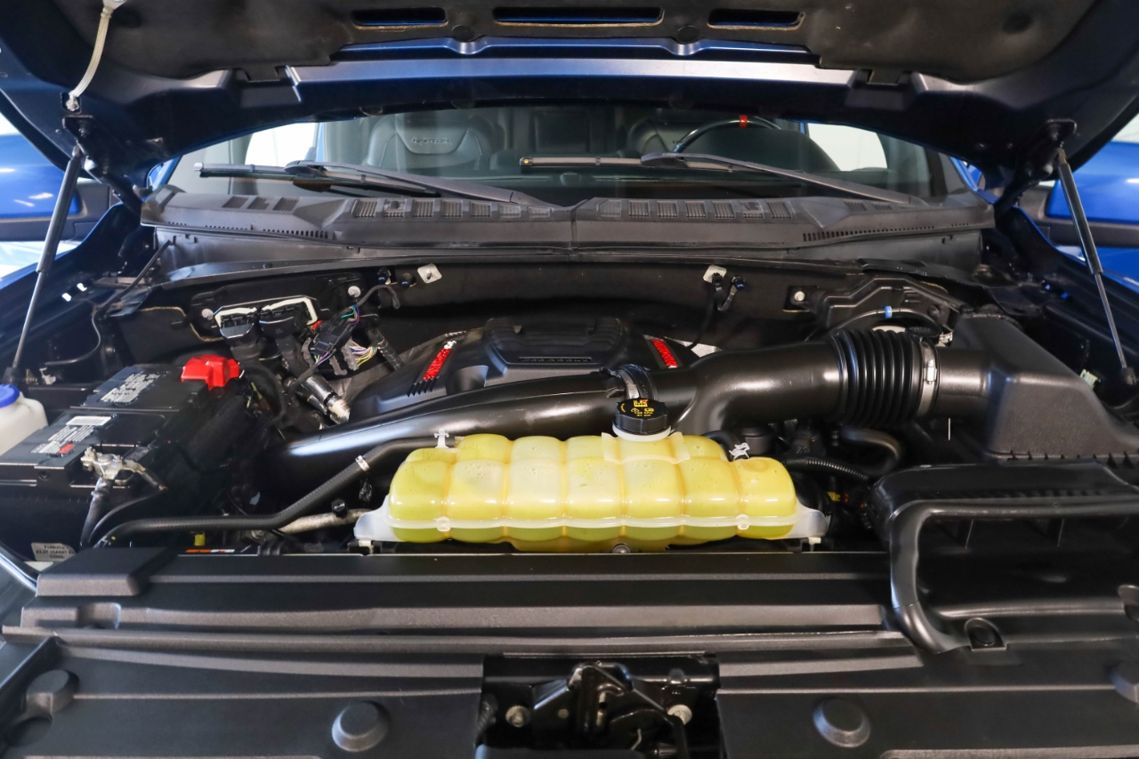 Ford F-150 Raptor 4WD SuperCrew 5.5' Box 2019 Ford F-150 Raptor 4WD SuperCrew 5.5' Box 2019