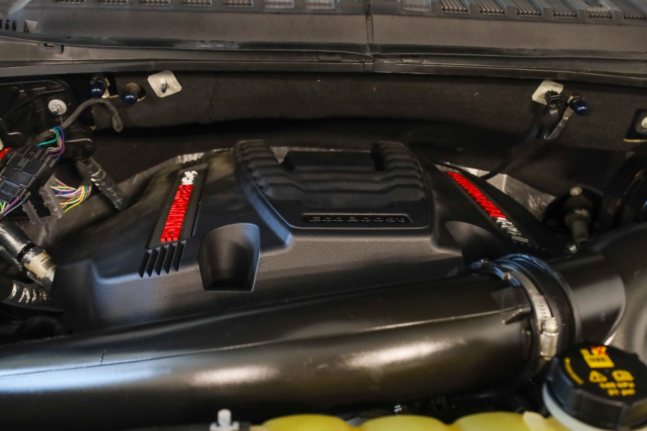 Ford F-150 Raptor 4WD SuperCrew 5.5' Box 2019 Ford F-150 Raptor 4WD SuperCrew 5.5' Box 2019