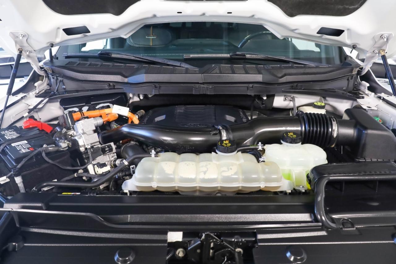 Ford F-150 King Ranch 4WD SuperCrew 5.5' Box 2023