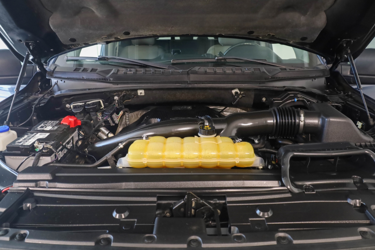 Ford F-150 XLT 4WD SuperCrew 5.5' Box 2019