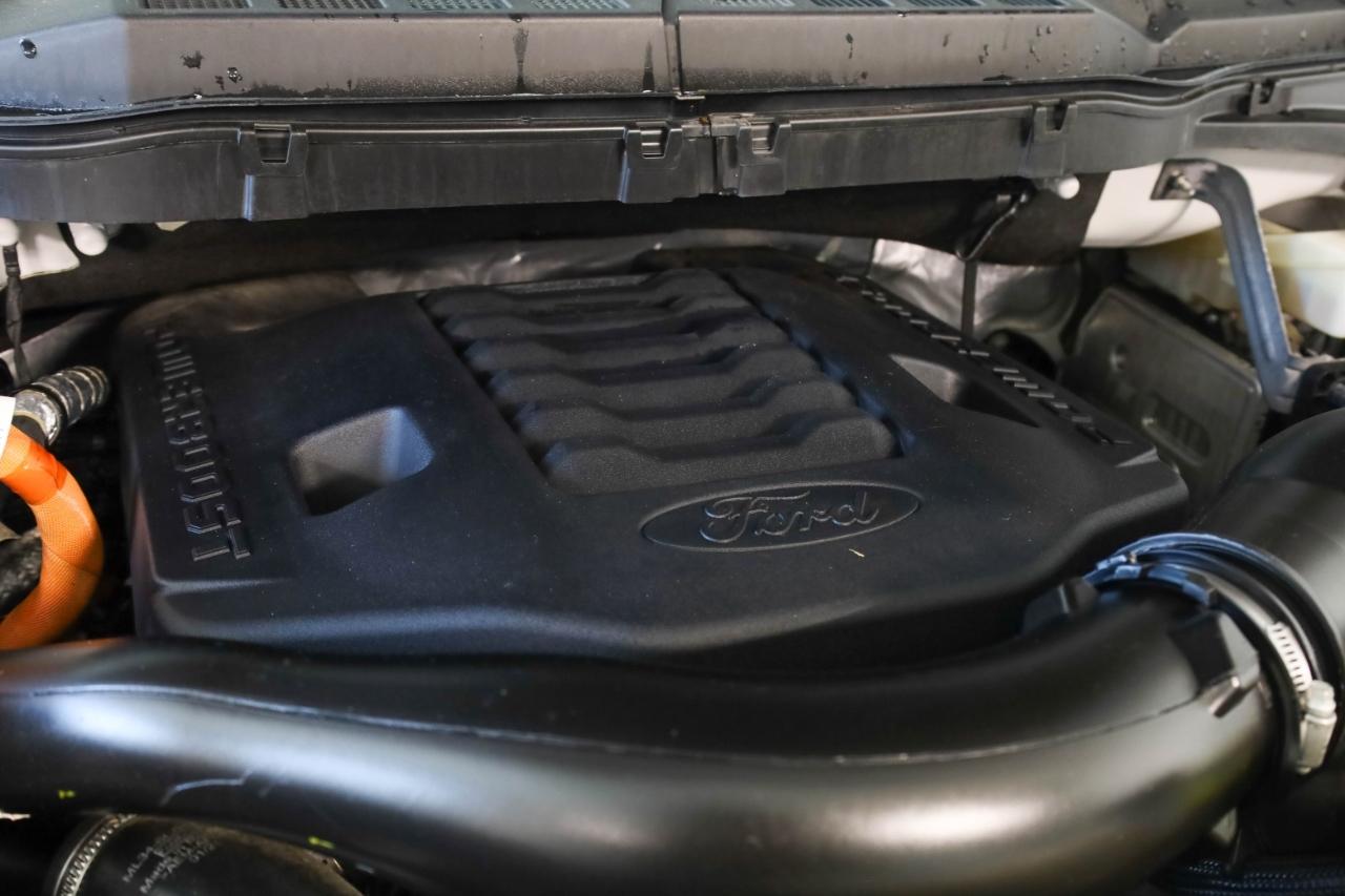 Ford F-150 King Ranch 4WD SuperCrew 5.5' Box 2021