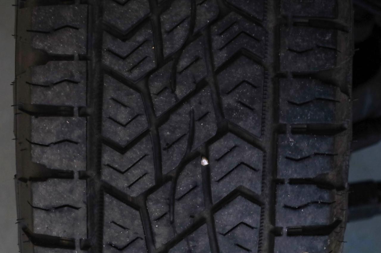 Ford Super Duty F-250 SRW King Ranch 4WD Crew Cab 8' Box 2023