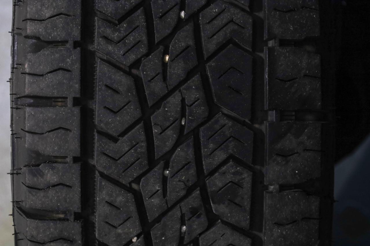 Ford Super Duty F-250 SRW King Ranch 4WD Crew Cab 8' Box 2023