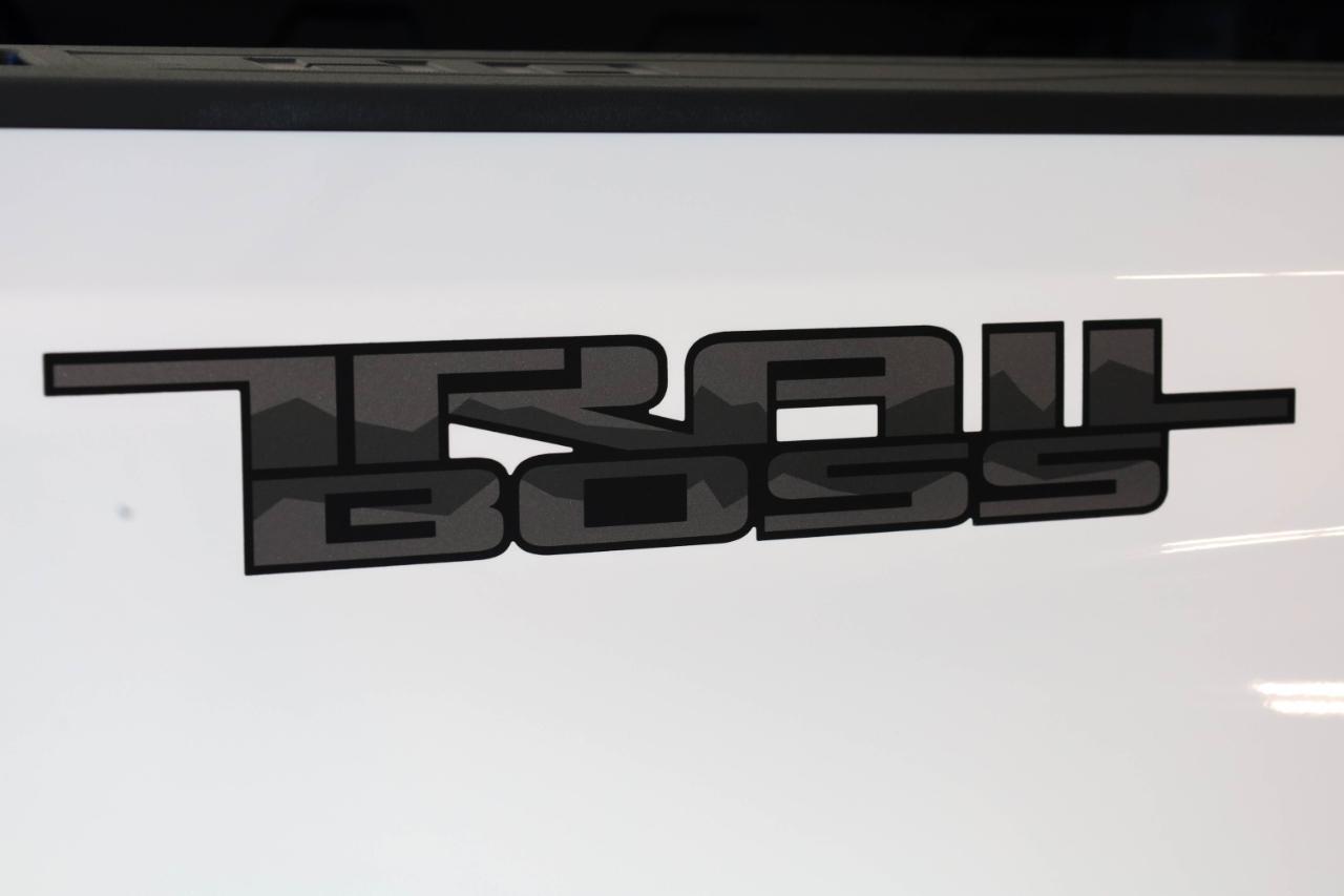 Chevrolet Silverado 2500HD 4WD Crew Cab 159" LTZ 2025