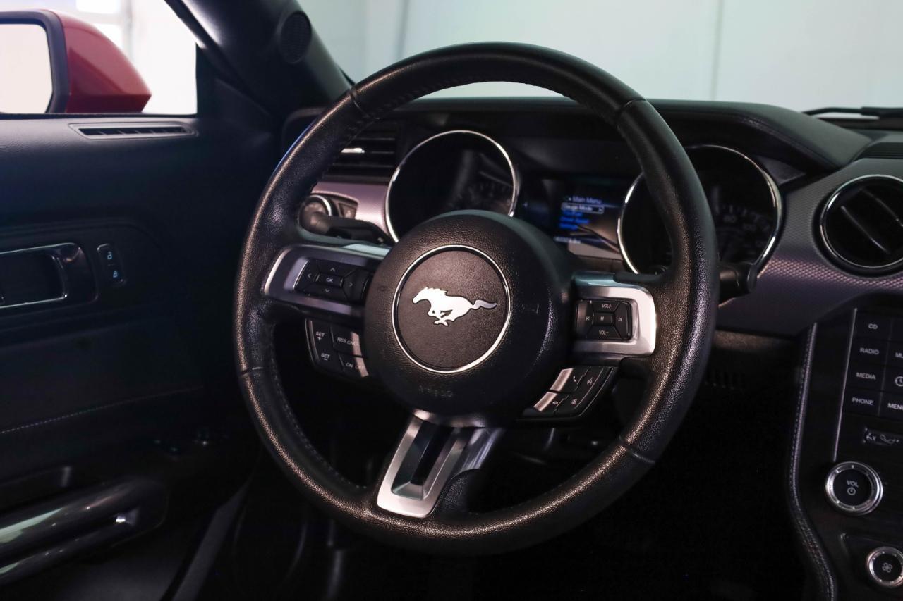 Ford Mustang GT Fastback 2017