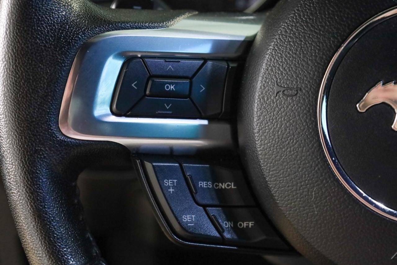 Ford Mustang GT Fastback 2017