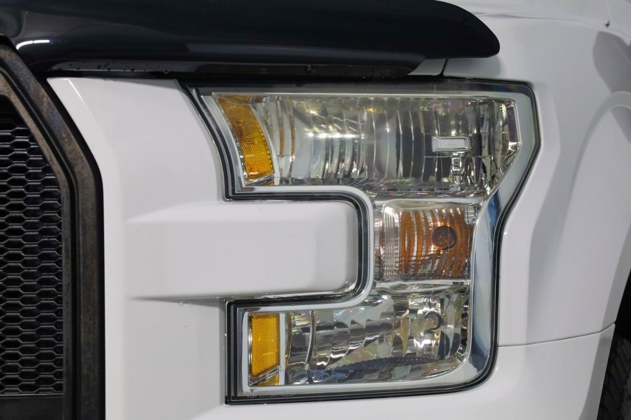 Ford F-150 XLT 2WD Reg Cab 8' Box 2017