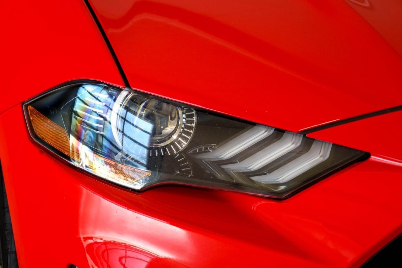 Ford Mustang EcoBoost Fastback 2021