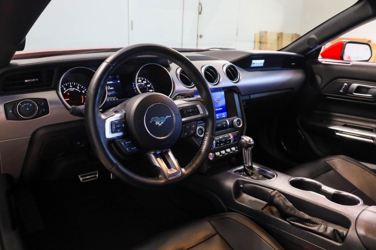 Ford Mustang EcoBoost Fastback 2021