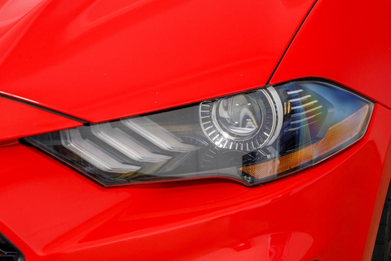 Ford Mustang EcoBoost Fastback 2021