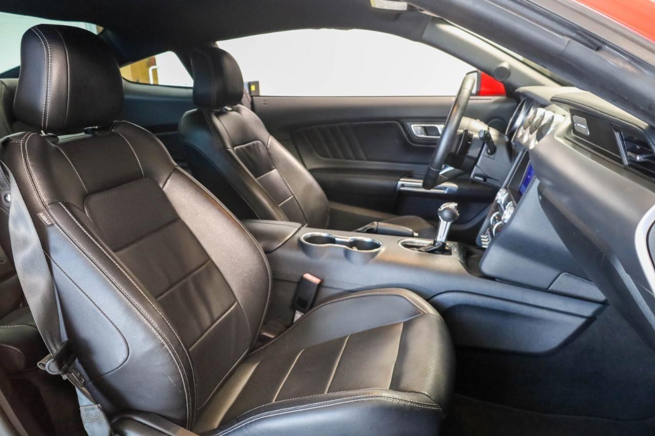 Ford Mustang EcoBoost Fastback 2021