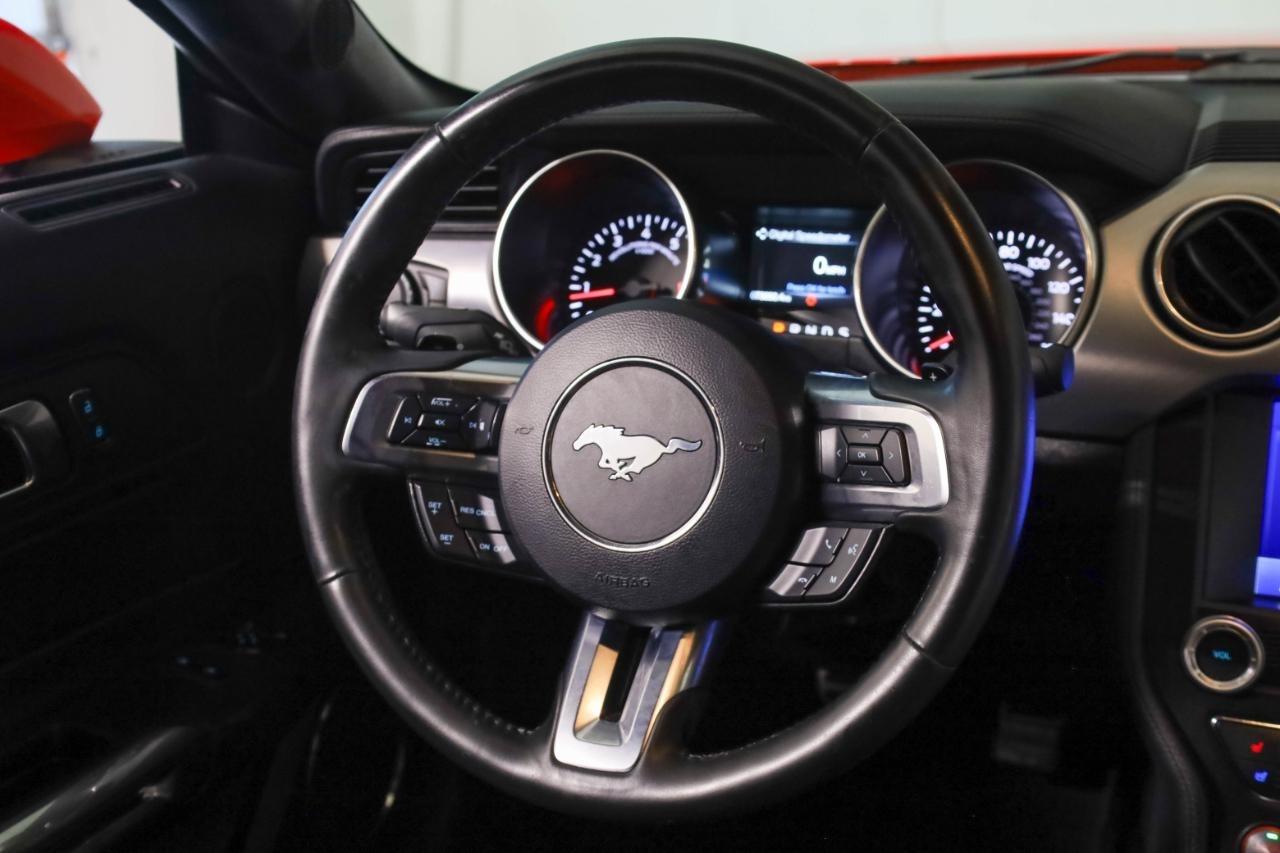 Ford Mustang EcoBoost Fastback 2021