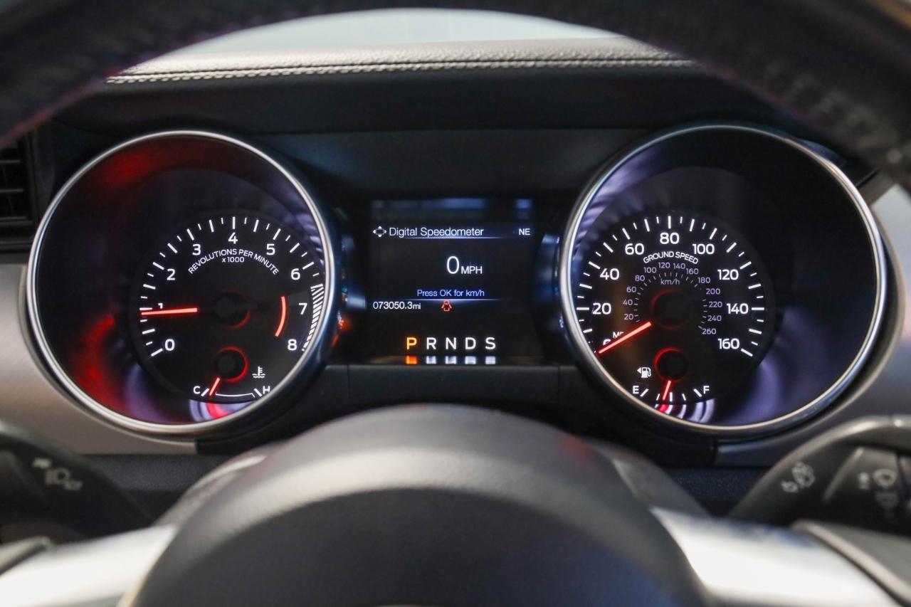 Ford Mustang EcoBoost Fastback 2021