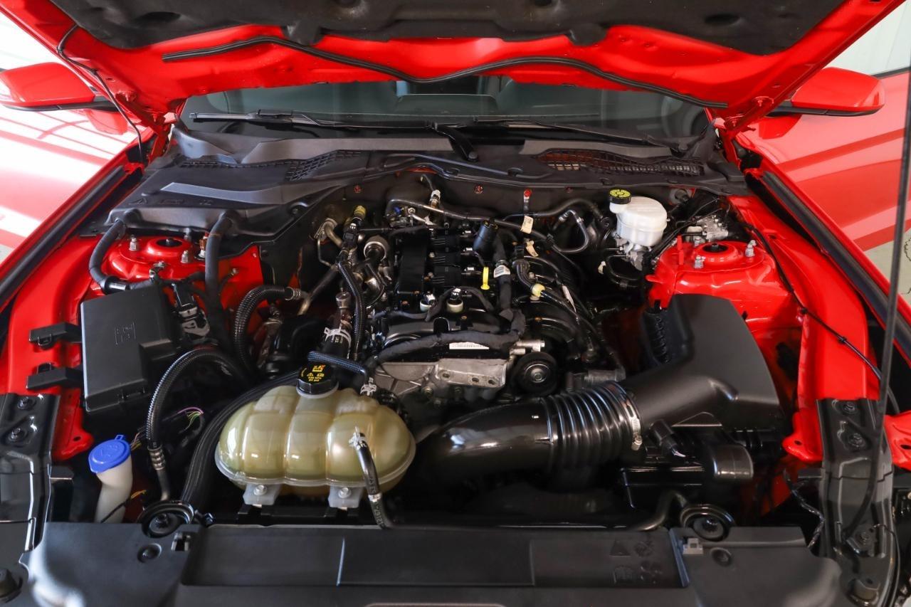 Ford Mustang EcoBoost Fastback 2021