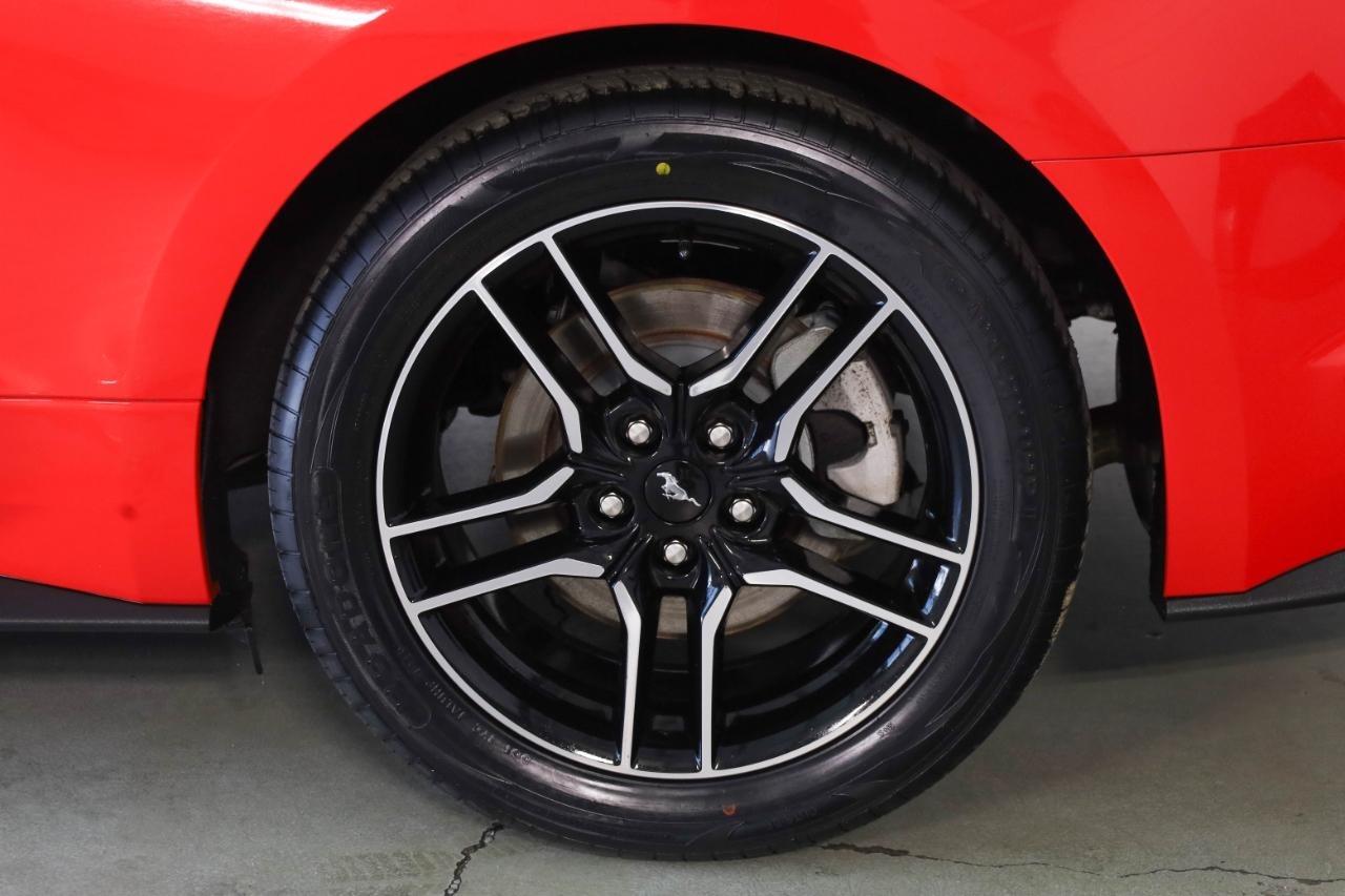 Ford Mustang EcoBoost Fastback 2021